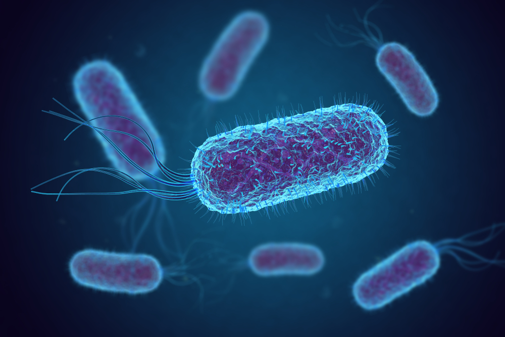 As part of their research, the scientists looked at the order of gene coding of two rotating nanomachines, including the bacterial flagellar motor: a rotating &quot;tail&quot; that many bacteria such as E Coli (pictured) use to swim. Photo: Shutterstock.