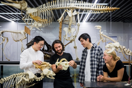 School of BEES in paleontology room students looking at dinosaur skeletons