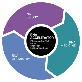 RNA Diagram
