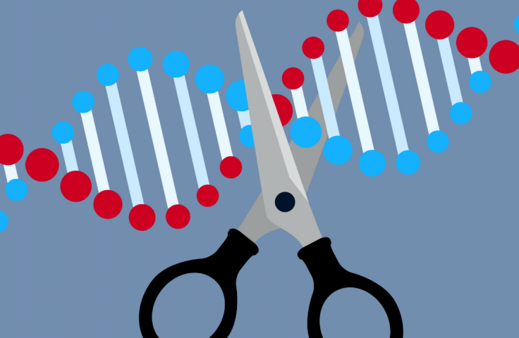 Scissors cutting through gene/ DNA in CRISPR technique